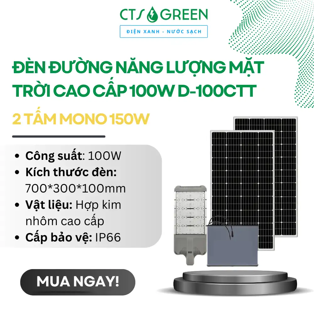 Đèn đường năng lượng mặt trời cao cấp 100W D-100CTT [2 tấm Mono 150W]
