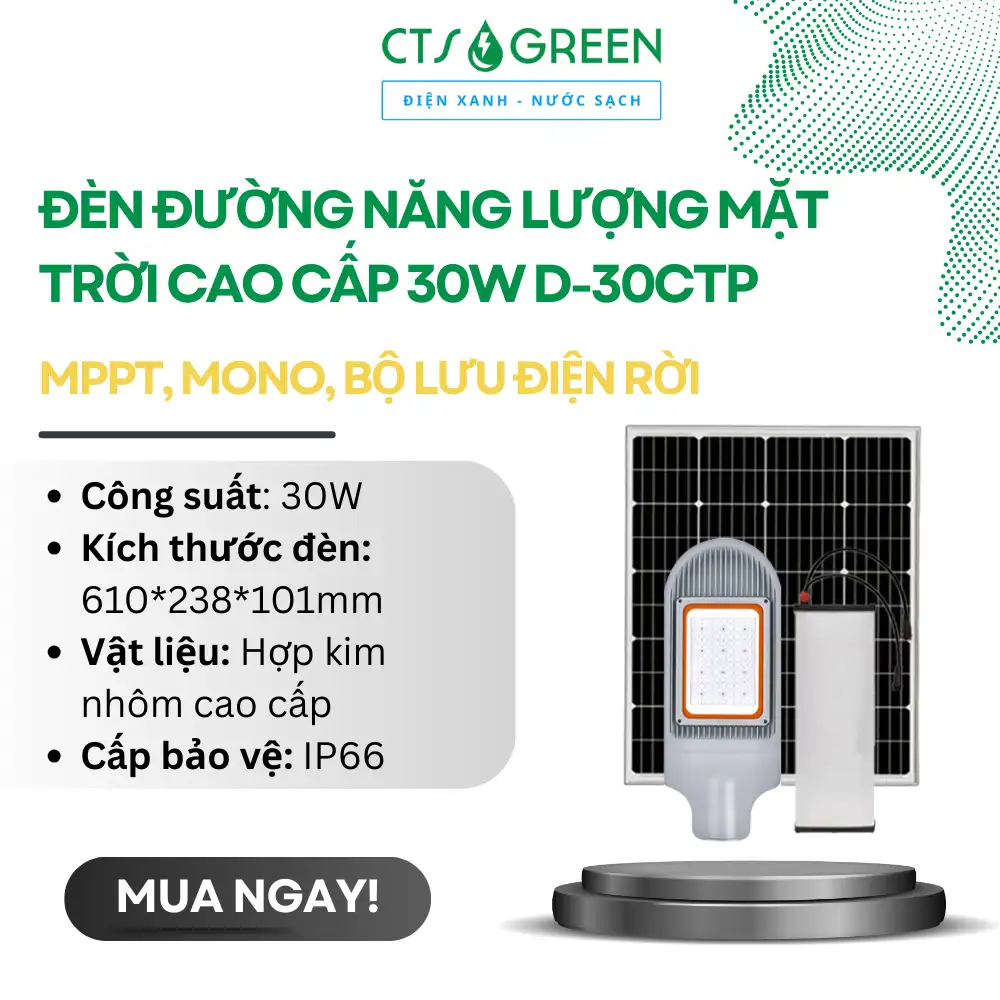 Đèn đường năng lượng mặt trời cao cấp 30W D-30CTP (MPPT, Mono, Bộ lưu điện rời)