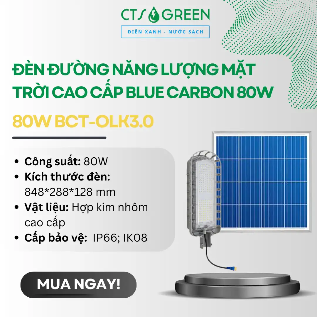 Đèn đường năng lượng mặt trời cao cấp Blue Carbon 80W BCT-OLK3.0