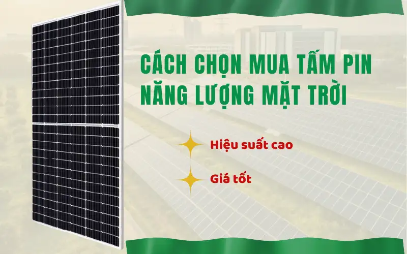 Cách chọn mua tấm pin năng lượng mặt trời hiệu suất cao với giá tốt